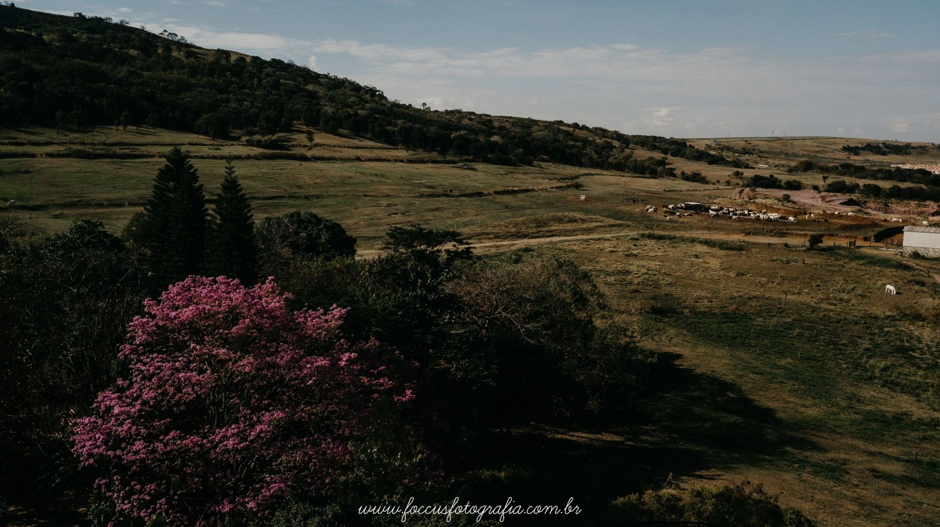 Casamento na Fazenda Quilombo em Limeira Nathalia e Caio Foccus Fotografia Diego Ocanhas e Marcelo Ribeiro melhores fotografos de casamento do interior 000 2