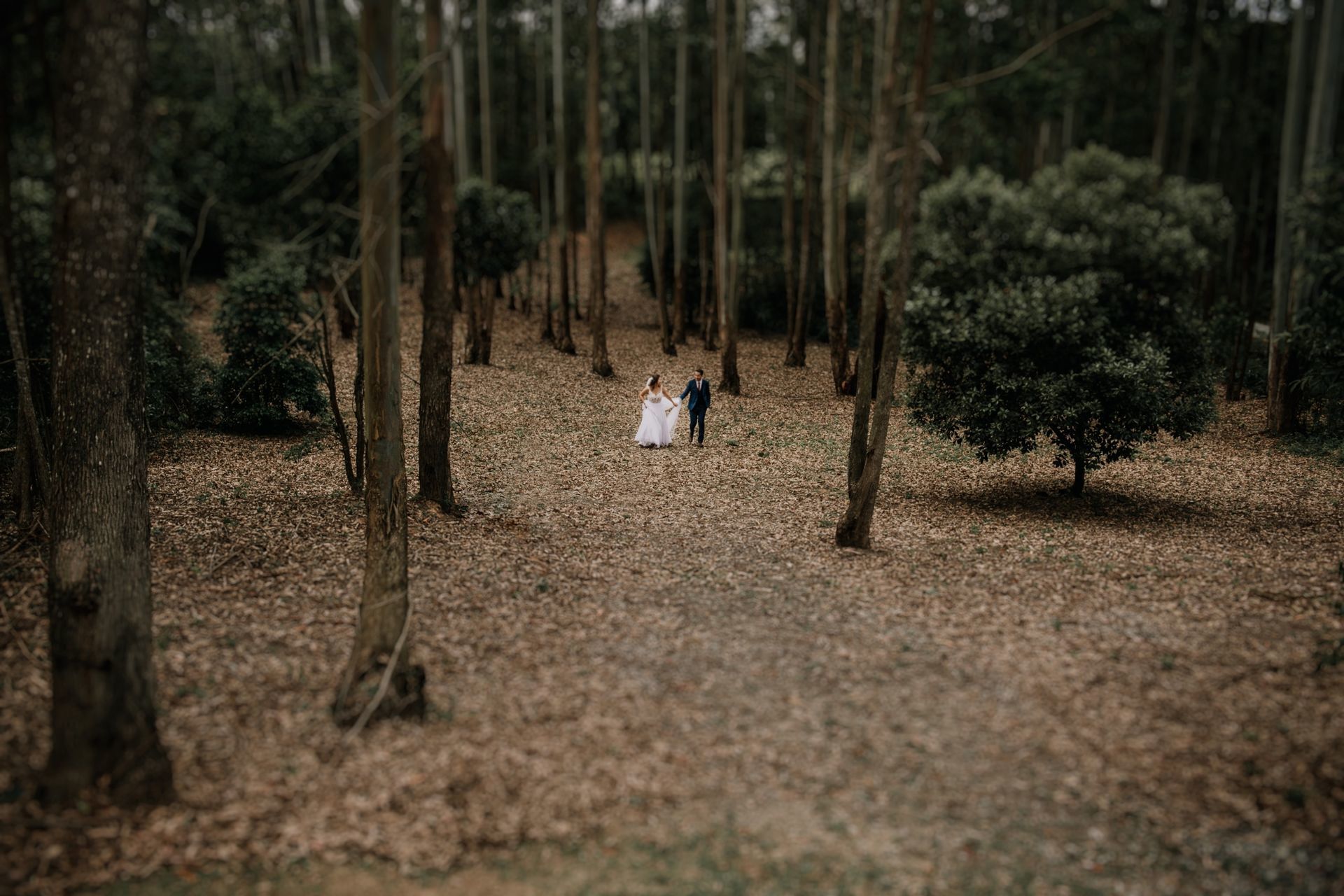 Foto Casamento em Ibiuna na Casa Ventura Giovana e Amine Foto Casamento em Ibiuna na Casa Ventura Giovana e Amine - Imagem 0