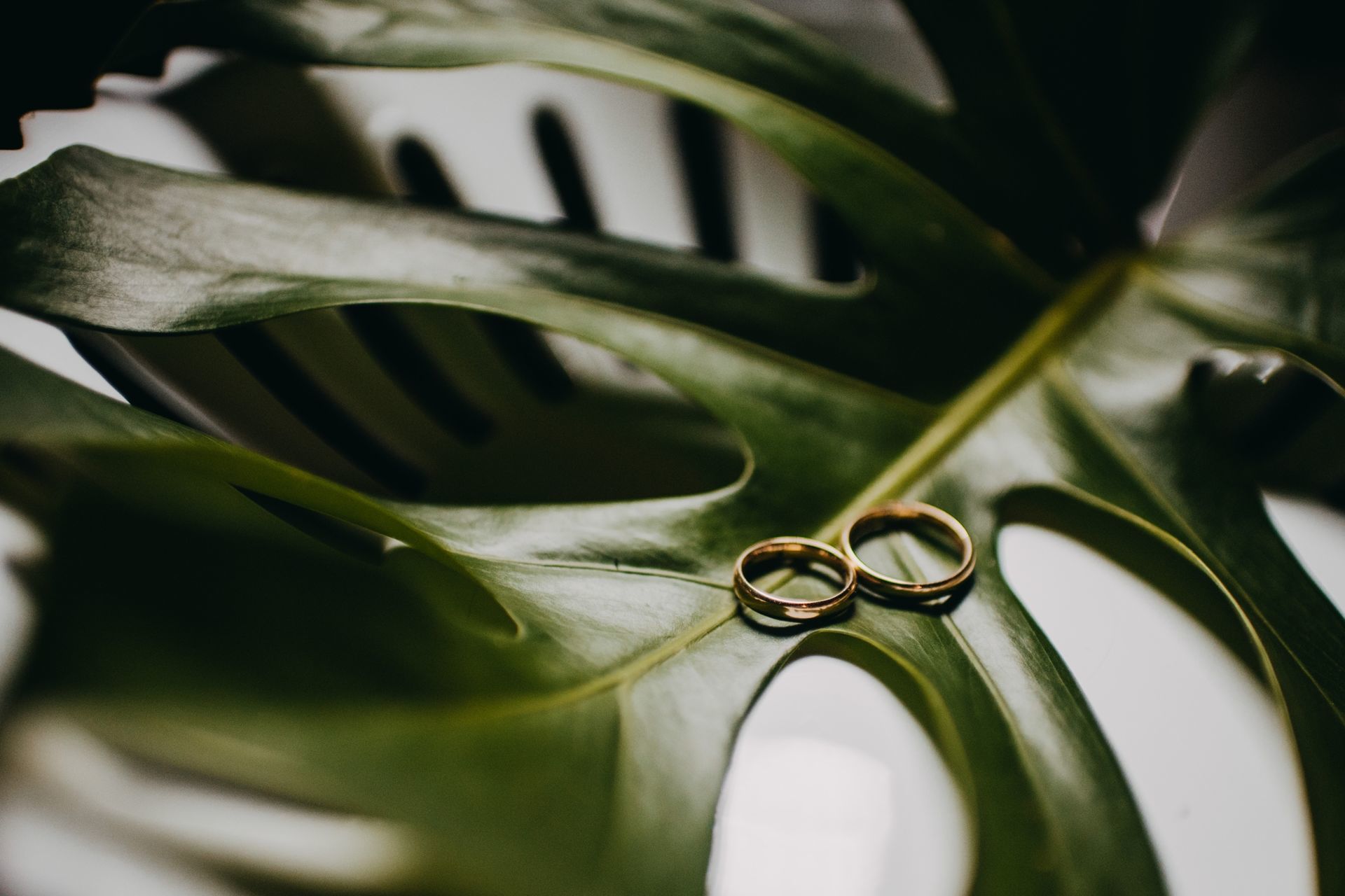Foto Bruna e Cleiton | Um casamento na Fazenda com muita personalidade. Foto Bruna e Cleiton | Um casamento na Fazenda com muita personalidade. - Imagem 54